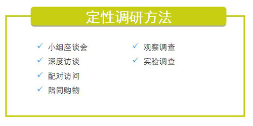 定性调研方法