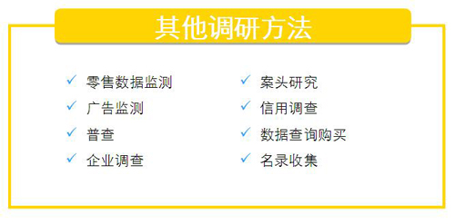 其他调研方法