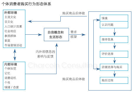 消费者购买行为体系